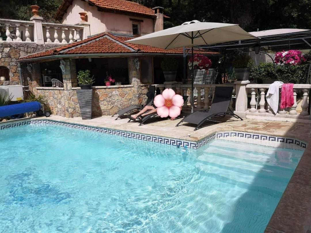 Design Avec Piscine *